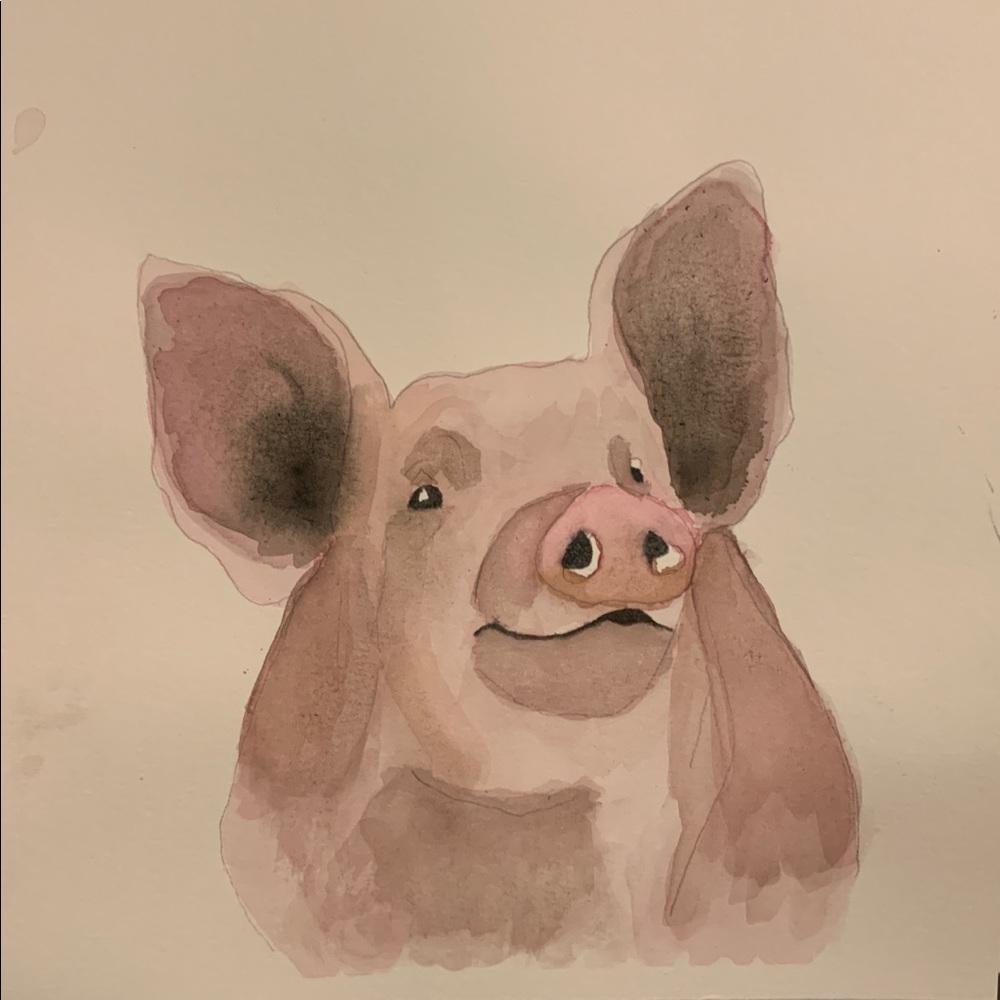 🎨Watercolor🎨Piggy Pig 🐷